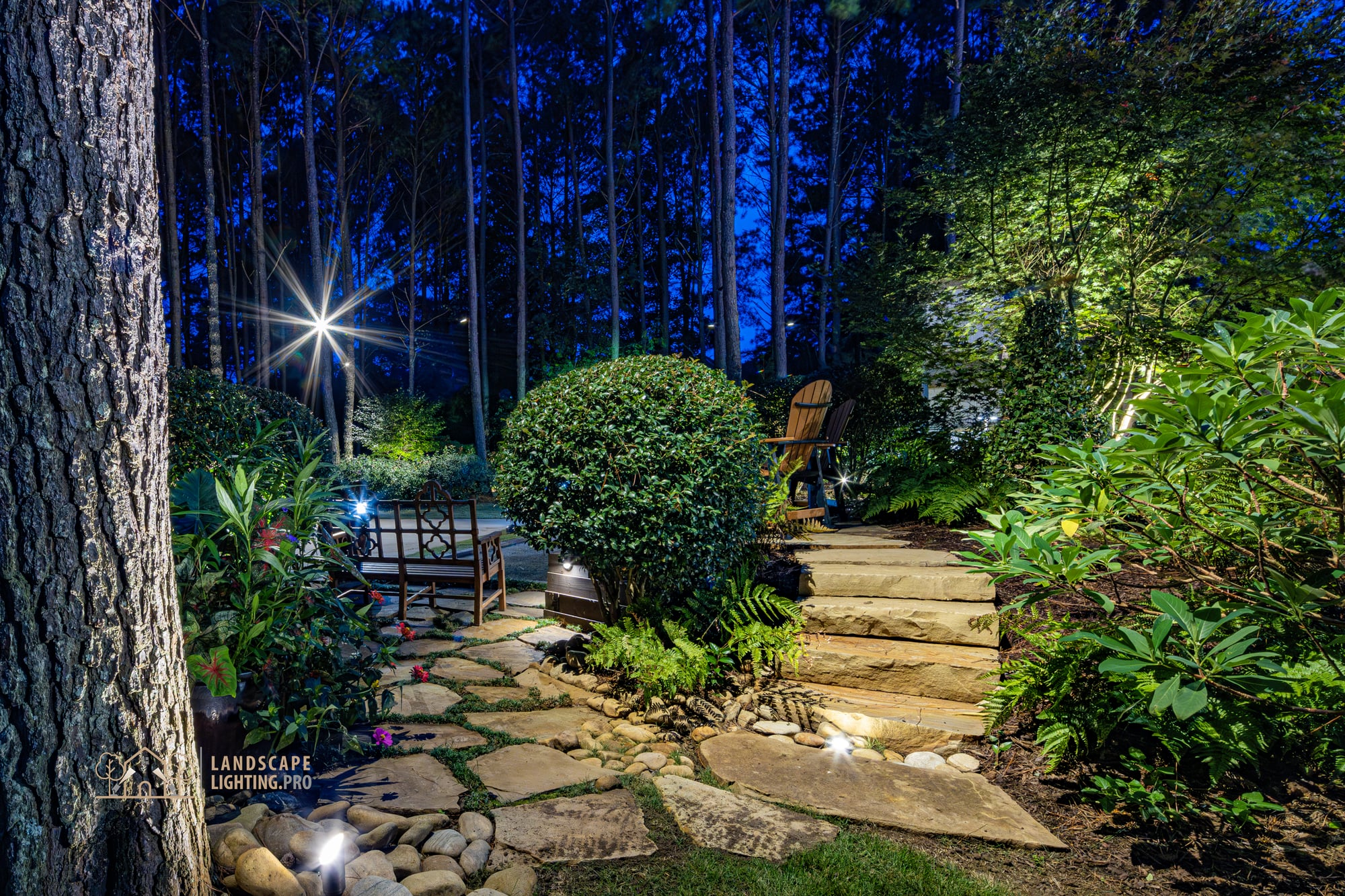 A composed garden view at dusk with layered shrubs, lawn, and pine canopy