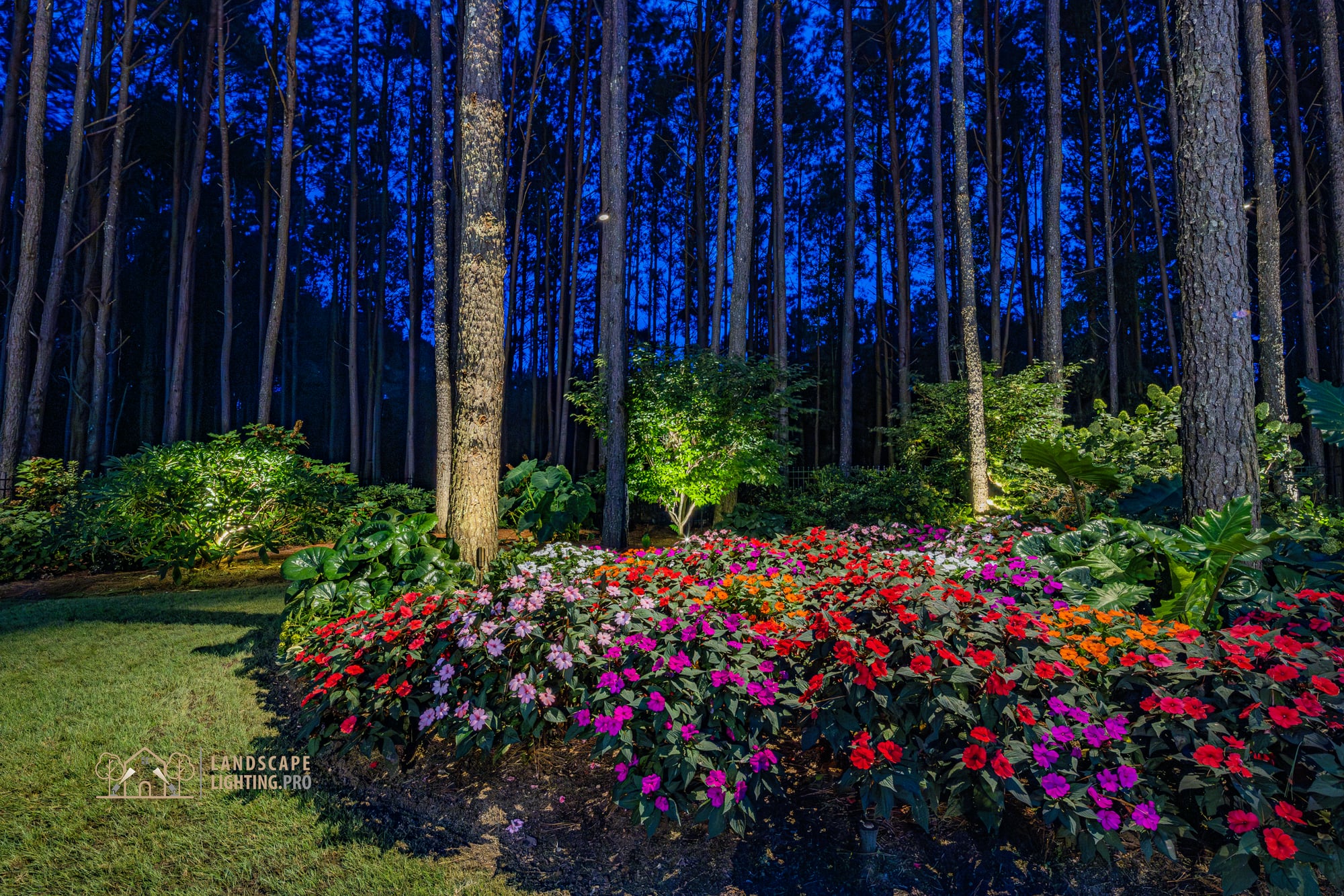 Planting beds and lawn on the Newhaven property, illuminated after sundown