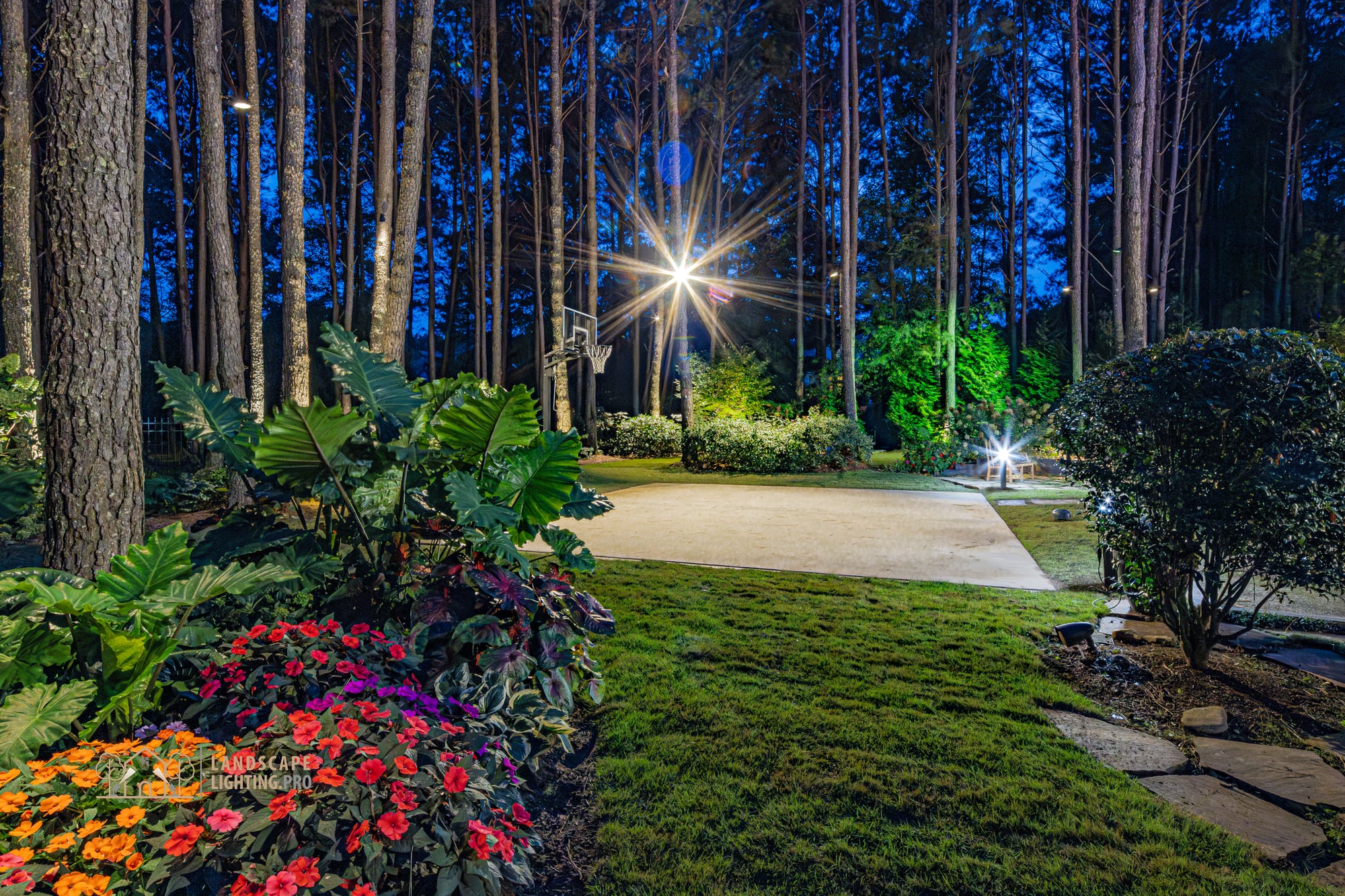 An outdoor sport court framed by tropical plantings and pine trunks at night