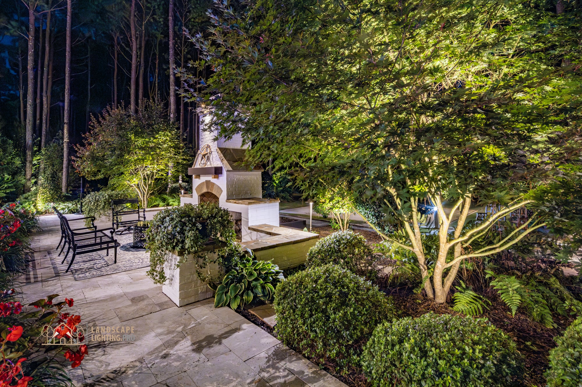A close composition of plantings on the Newhaven property at dusk